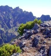 zur Spitze der Pico Ruivo
